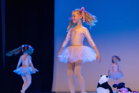 Območna revija plesnih skupin Finesa plesa 2023 (7)